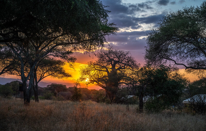 3 Days, 2 Nights Safari tour