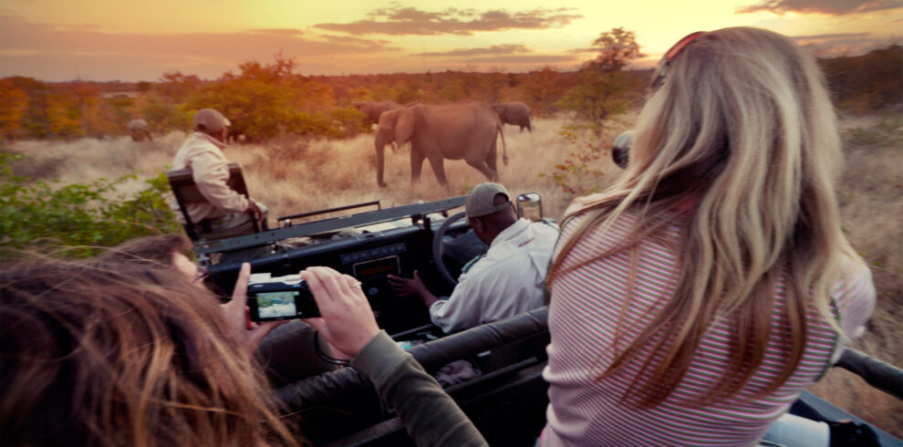 safari_pwc