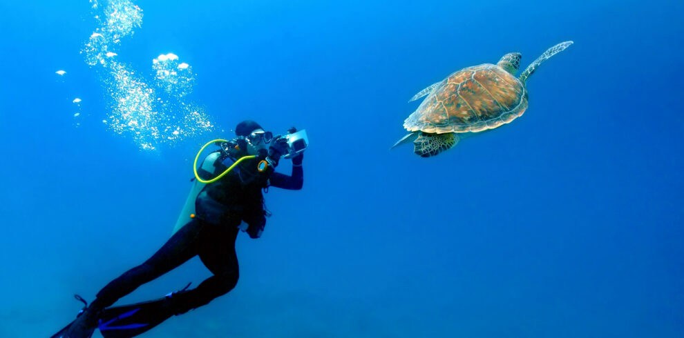 Scuba,Diver,Photographer,Swimming,With,The,Sea,Turtle.,Blue,Sea,